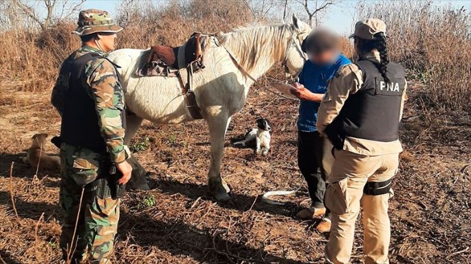 Delta del Paraná: detuvieron a tres personas acusadas de provocar incendios