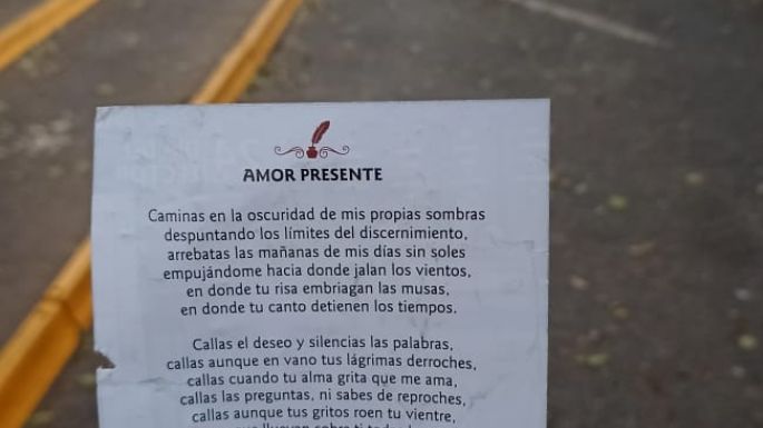 Lluvia de poemas: el avión recorrió los cielos de Villa María