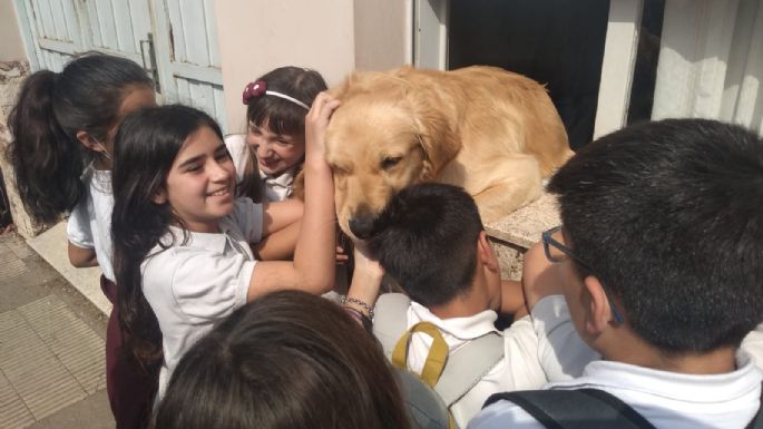 [Videos] Furor en las redes por "el perro que saluda"