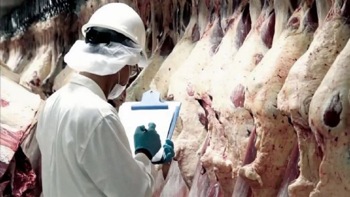 Las exportaciones de carne vacuna fueron récord en el primer semestre