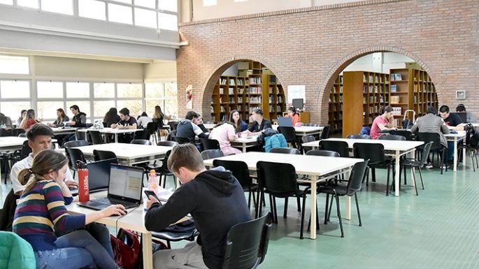 “La biblioteca es un ente vivo”