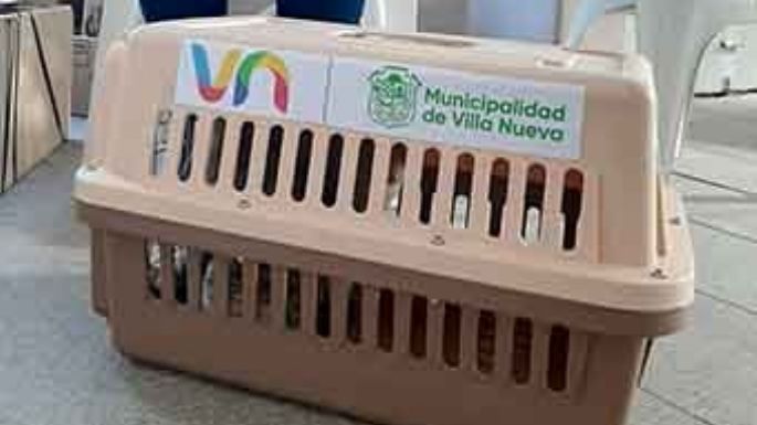 Castraciones: la oposición pidió un informe al municipio