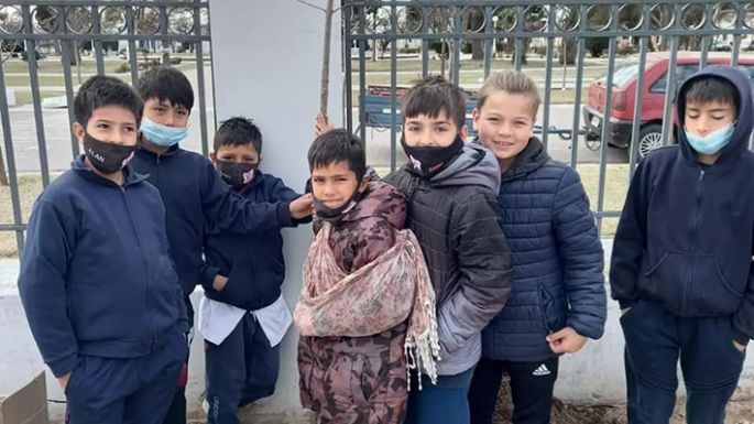 Plantaron árboles en la escuela