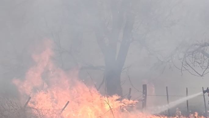 Se quemaron 52 hectáreas en la zona de Ana Zumarán