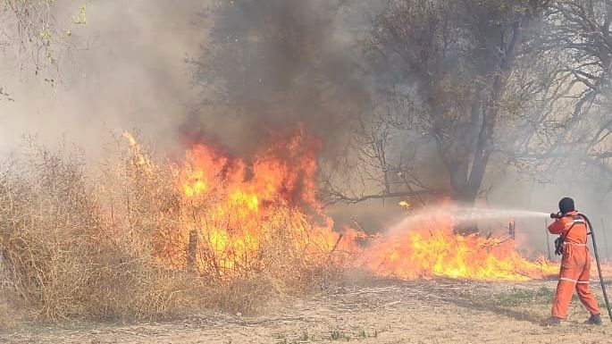 Se quemaron 52 hectáreas en la zona de Ana Zumarán