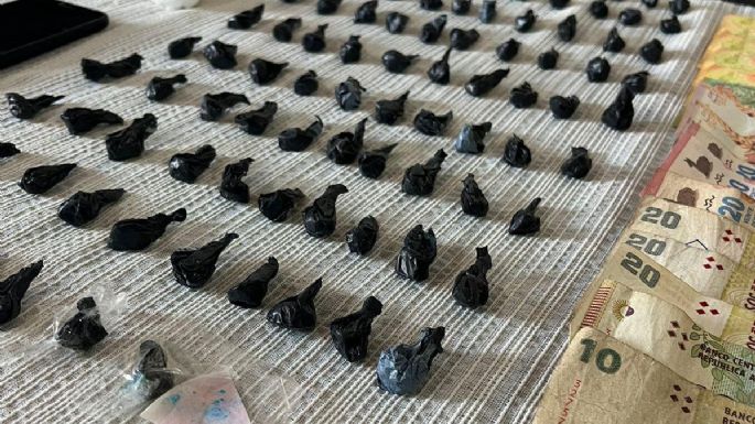 Más de 500 dosis de cocaína secuestradas y dos hermanos detenidos
