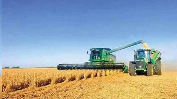 Detenidos por cosechar cereal en campo ajeno