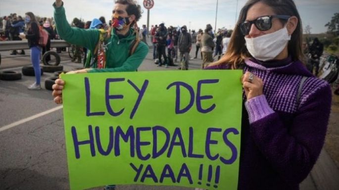 Cerca de 520 organizaciones se movilizarán por una ley de humedales
