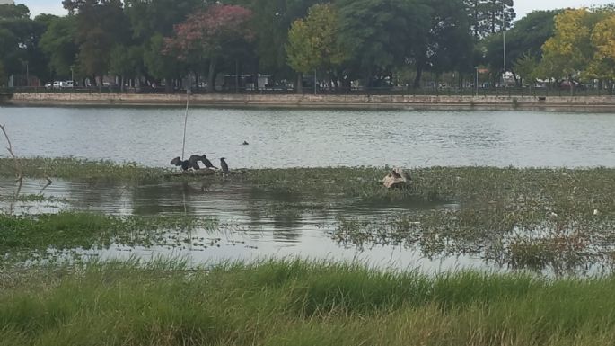 El Prado Español invita a una limpieza comunitaria del lago