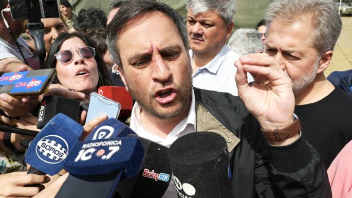 Cabandie reclamó a la Justicia "que meta a alguien en cana" para evitar más incendios