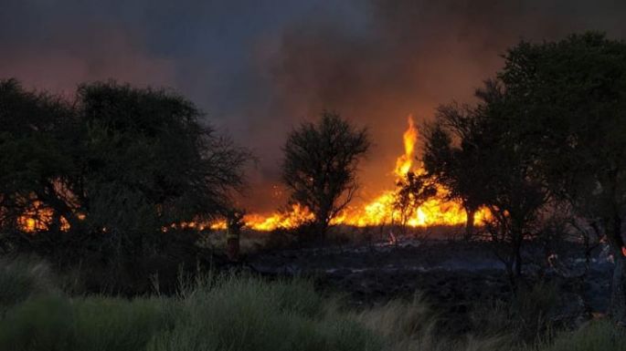 Combaten incendios forestales