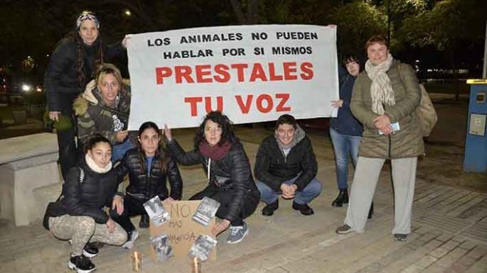 Activistas piden abolir la Tracción a Sangre