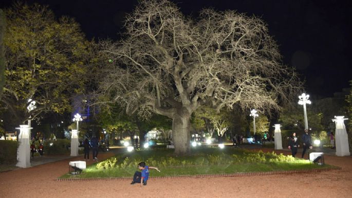 [GALERÍA DE FOTOS] ¿Cómo quedó la renovada Plaza Centenario?