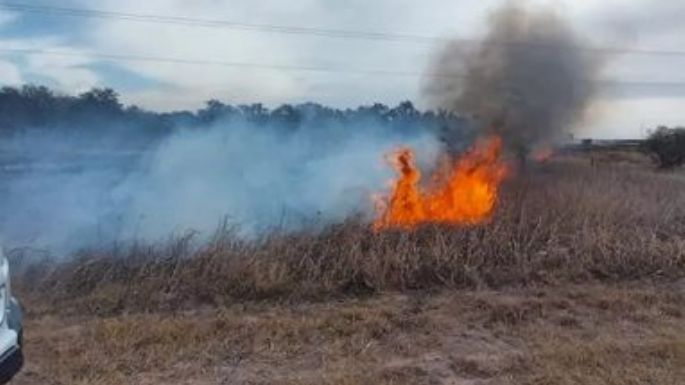 Comenzó un incendio porque “estaba cansado del monte”