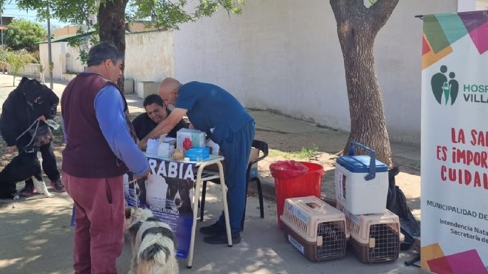 Esta semana continúa la vacunación antirrábica en Villa Nueva