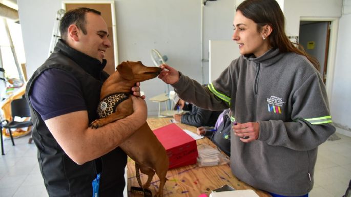 Comenzó la Campaña de Vacunación Antirrábica