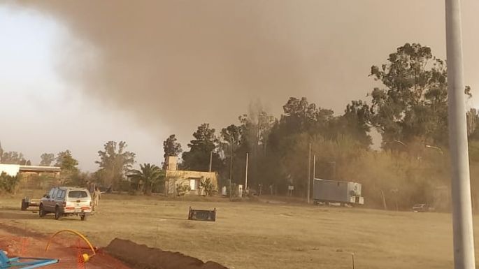 [Vídeos] Gran incendio en un campo alarmó a toda Oliva