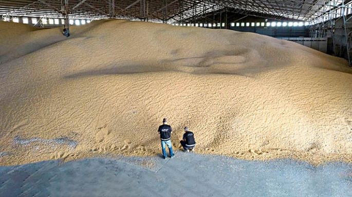 La Aduana detectó "cerealeras truchas" que no ingresaron divisas al país
