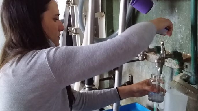 Cuáles son las consecuencias por el herbicida hallado en tambos de la región