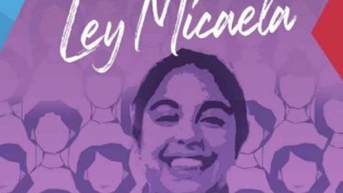 Ley Micaela: hoy dictarán una capacitación