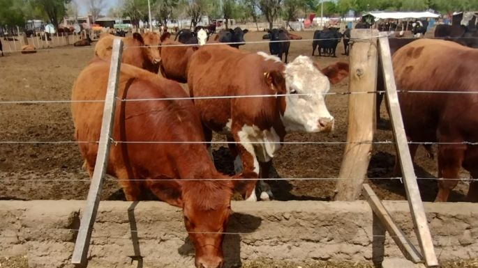En 2023 los productores no pagarán tasas por trámites agropecuarios