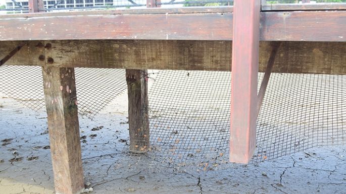 La bajante del lago dejó al descubierto la basura y la necesidad de mantenimiento