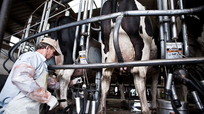 Impulso Tambero: productores podrán inscribirse hasta el 7 de febrero