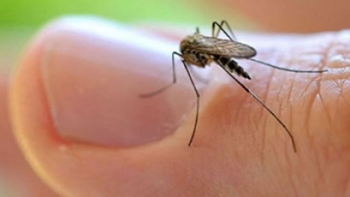 Detectaron el tercer caso de chikungunya en la provincia