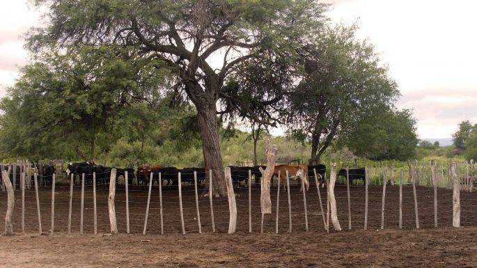 Elevan el pedido de Emergencia Agropecuaria debido a la sequía