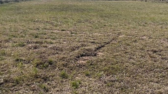 Más empresas adquirieron sus lotes en el Parque Industrial