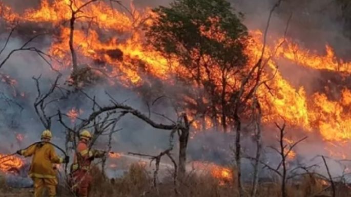 Invento para combatir incendios forestales