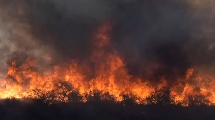 Canadá y España reforzarán la lucha contra los incendios
