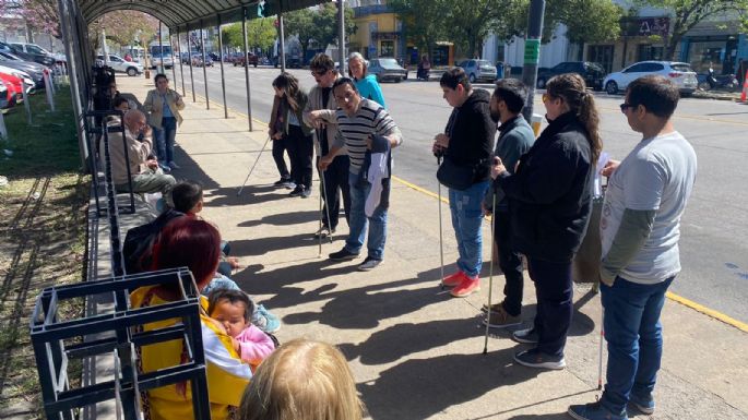 Días de los Bastones Verdes y Blancos: el Centro Elissalde realizó diversas intervenciones