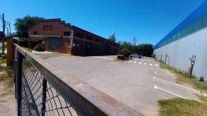 Extendieron el contrato por otros 5 años a la empresa de los carnés