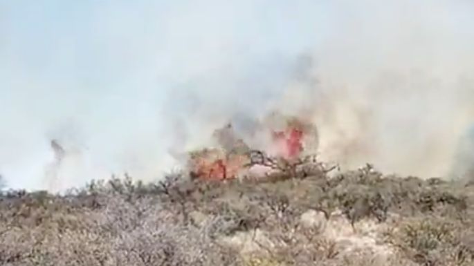 Bomberos combaten focos de incendios en varios puntos de Córdoba