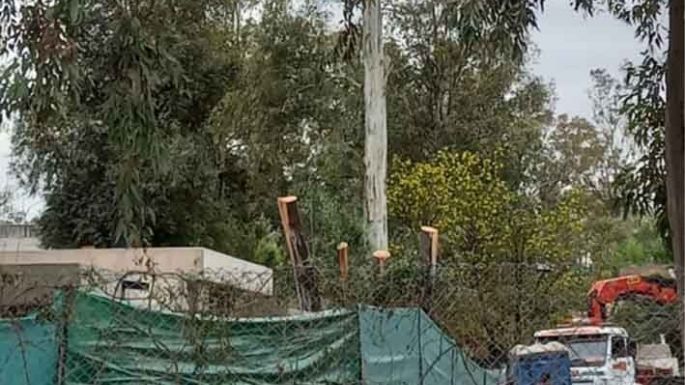“La paradoja de buscar vivir en un entorno natural para destruirlo”