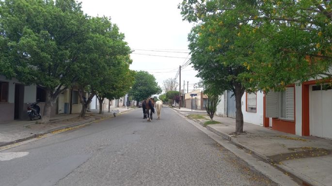 Encontraron caballos sueltos por las calles del barrio Ameghino