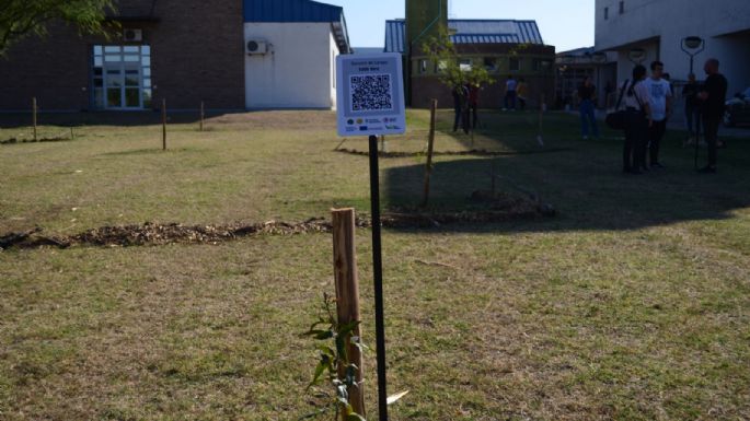 Ya se habilitó el Bosque Poético Literario que reconoce a autores locales
