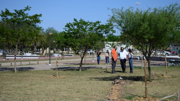 Ya se habilitó el Bosque Poético Literario que reconoce a autores locales
