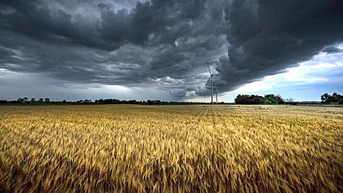 El Niño: transitamos el trimestre marcado por abundantes lluvias