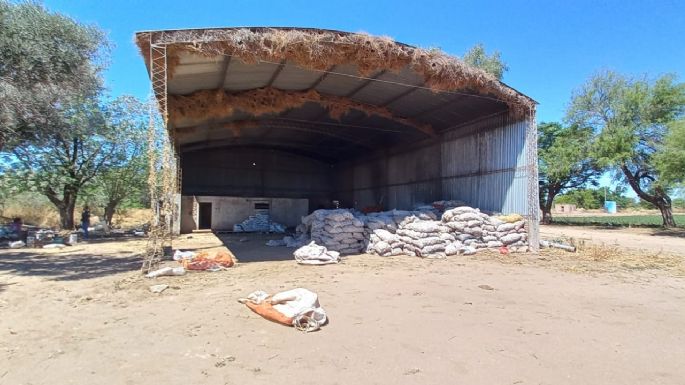 Rescataron a tres presuntas víctimas de trata en un campo de Córdoba