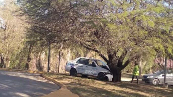 Un conductor impactó contra un árbol con su vehículo