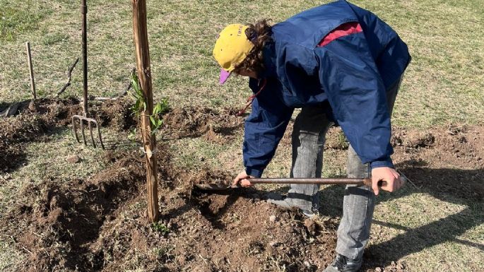 Plantan árboles nativos para homenajear a escritores villamarienses