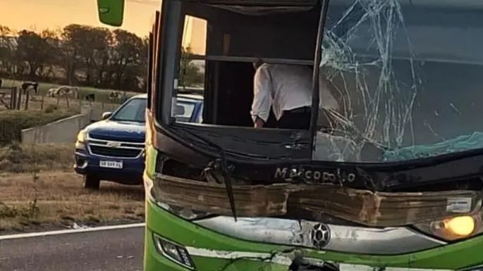 Falleció un hombre tras el choque entre un colectivo y una camioneta