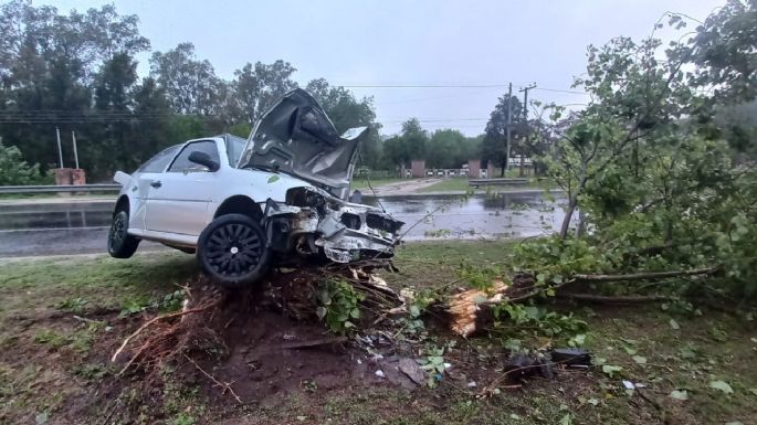 Despistó con su auto y terminó impactando contra un árbol en la banquina