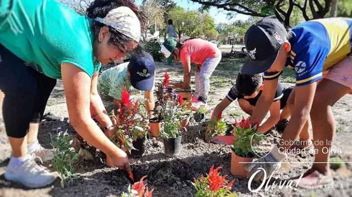 Plantines en la plaza