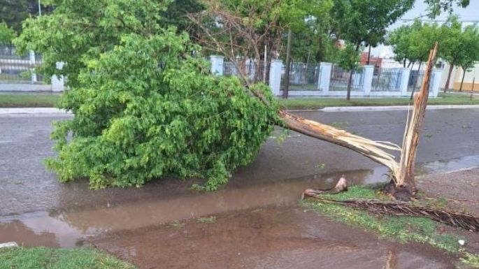 Fuerte tormenta: calles inundadas y árboles caídos en Idiazabal