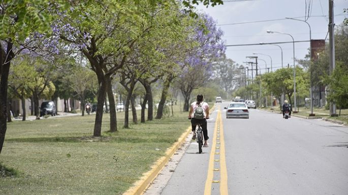 Vecinos lograron que retiraran los separadores de la avenida Perazzolo