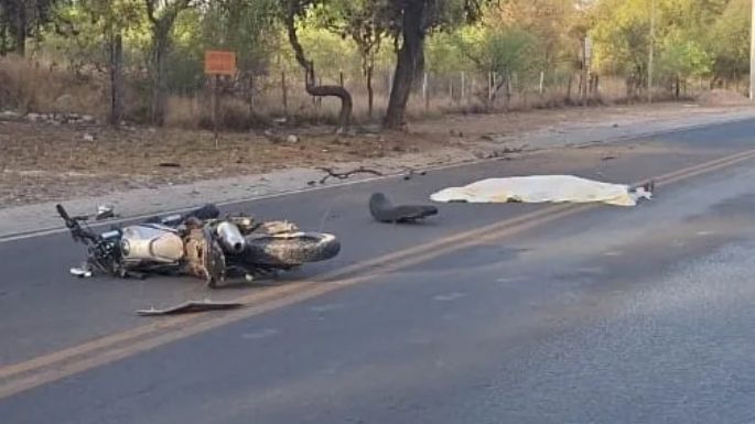 Un joven perdió el control de su moto, impactó contra un árbol y falleció
