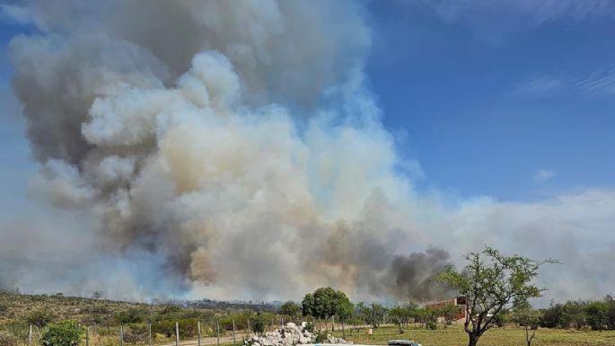 Bomberos combaten incendios forestales en distintas zonas